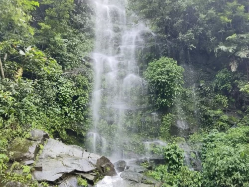 Kevin Waterfall in Arunachal Pradesh cascading through lush green forest and rocky terrain