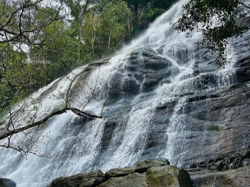 Kiliyur Falls, scenic waterfall in Yercaud cascading over rocky cliffs amid lush green forest landscape