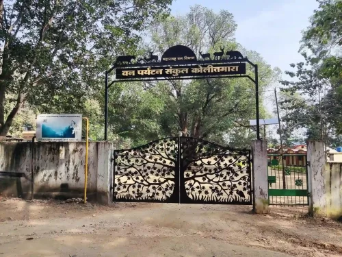 Kolitmara Gate Pench Tiger Reserve forest entrance in Madhya Pradesh tour packages