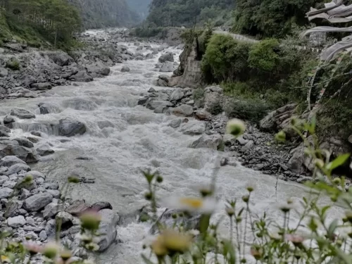 Lachen River Sikkim fast flowing Himalayan river with rocky valley and scenic mountain landscape