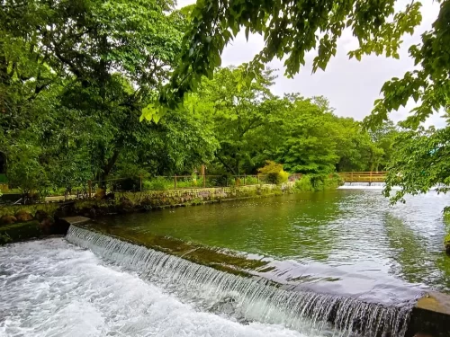 Lachhiwala Nature Park Dehradun scenic picnic spot with forest pools, flowing stream and lush green surroundings