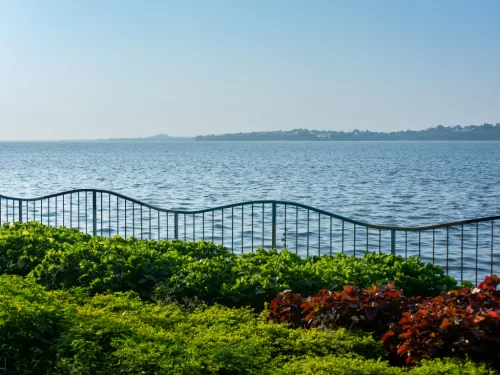 Upper Lake Bhopal during clear daylight, featuring green railing lush shrubs red plants lakeside view, perfect scenic Madhya Pradesh tour package.