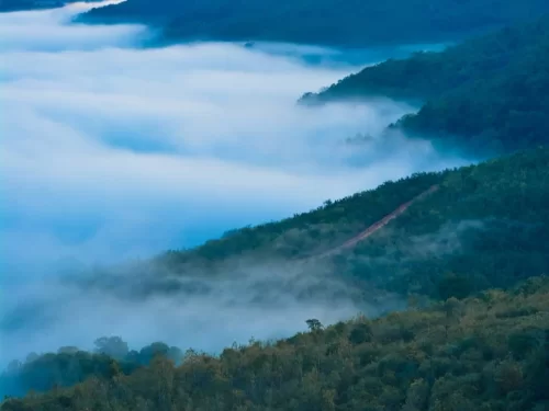 Lambasingi View Point misty hills and scenic sunrise landscape in Andhra Pradesh tour packages.