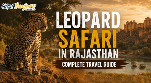 LeopardSafariinRajasthanCompleteTravelGuide_17840318050.webp