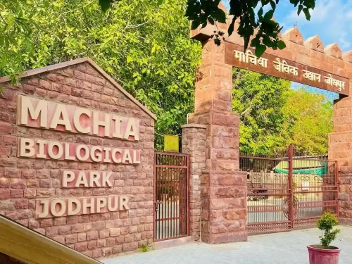 Machia Biological Park Jodhpur Arid safari park featuring desert wildlife like leopards tigers and monitor lizards Rajasthan.