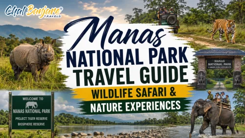 Manas National Park Travel Guide – Wildlife Safari & Nature Experiences