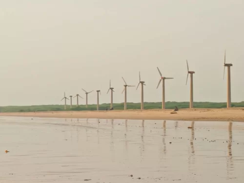 Mandvi Beach and Windfarm Gujarat, scenic coastal shoreline with wind turbines, popular tourist attraction in Kutch for sunset and nature views.