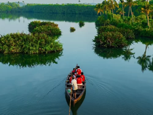 Mangrove Creeks, scenic backwater channels in the Andaman Islands known for dense mangrove forests, calm waters, and rich biodiversity.