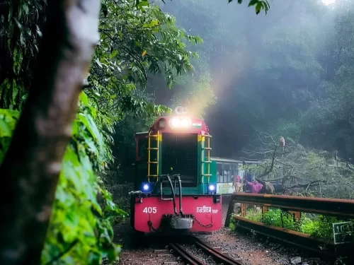 Toy train passing through lush green forest at Matheran Hill Station, Maharashtra, a scenic eco-friendly destination featured in Maharashtra tour packages. 
