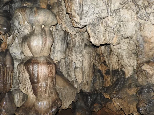 Mawsmai Cave Shillong Meghalaya interior dramatic stalactites stalagmites bulbous clustered formations wet limestone drips textured cave walls dim lighting natural speleothems underground wonder, perfect Meghalaya tour packages.