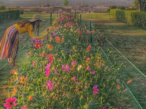 Mehtab Bagh Agra Mughal garden with colorful flowers and Taj Mahal view across Yamuna River, Uttar Pradesh