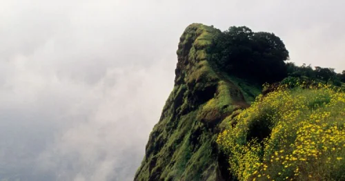 Nagphani Point 