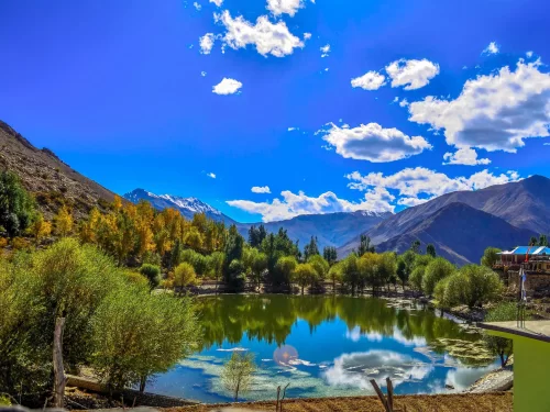 Nako Lake Spiti Valley during autumn clear skies, featuring serene turquoise waters golden willow poplar trees snow peaks reflections, perfect nature experience Himachal Pradesh tour package.