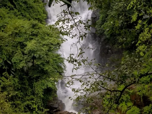 Netravali Wildlife Sanctuary Goa lush forest reserve with cascading waterfall and dense Western Ghats greenery