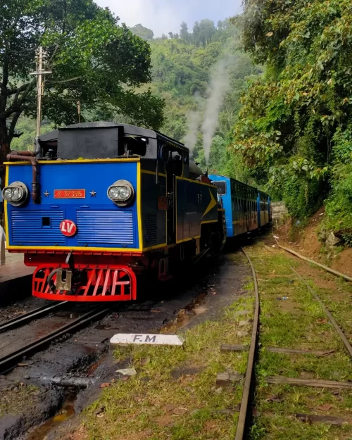 Heritage toy train moving through lush green hills on a narrow-gauge track in India, offering a scenic mountain journey featured in popular India tour packages.