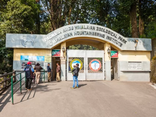 Entrance gate of Padmaja Naidu Himalayan Zoological Park in Darjeeling during daytime, featuring tourists and forest backdrop, perfect family Sikkim tour package