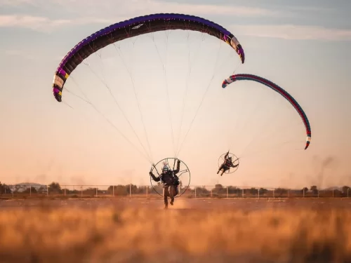 Paramotoring pilots taking off with motorized paragliders over an open field at sunset sky.