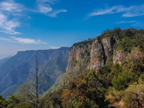 Pillar Rocks at Kodaikanal during sunny afternoon, featuring dramatic cliffs, lush forests, valley views, perfect adventure experience Tamil Nadu tour packages.