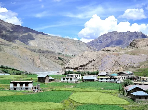 Pin Valley National Park near Kaza during clear skies, featuring villages green paddy fields river rocky mountains, perfect adventure experience Himachal tour package.