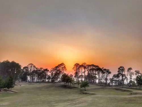Sunset view at Ranikhet Golf Ground in Ranikhet, Uttarakhand with pine trees lining the rolling greens, a scenic attraction featured in Uttarakhand tour packages 