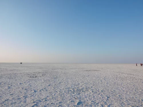Tourists at White Rann of Kutch during clear day, featuring distant people, endless white salt desert and vast horizon, perfect adventure experience with Gujarat tour packages.