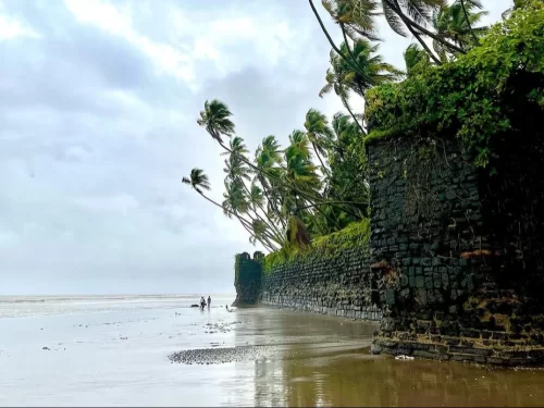 Stone fort walls and swaying palm trees along Revdanda Beach in Maharashtra, with a quiet shoreline stretching beside historic coastal ruins, a scenic spot included in Maharashtra tour packages.