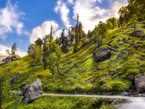 Mountain drive at Rohtang Pass Manali during partly cloudy skies, featuring pine trees rocky outcrops and lush green slopes, perfect adventure experience Himachal Pradesh tour package.