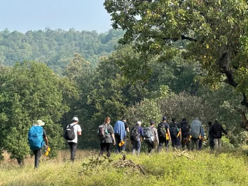 Visitors trekking through Runj Jhuni Walking Trails in Pench National Park, Madhya Pradesh, surrounded by dense forest and wildlife habitat, an eco-adventure experience featured in Madhya Pradesh tour packages