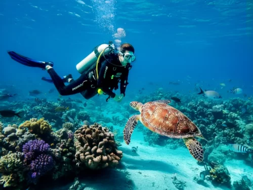 Scuba Diving diver exploring vibrant coral reef underwater alongside a sea turtle in clear blue ocean waters.