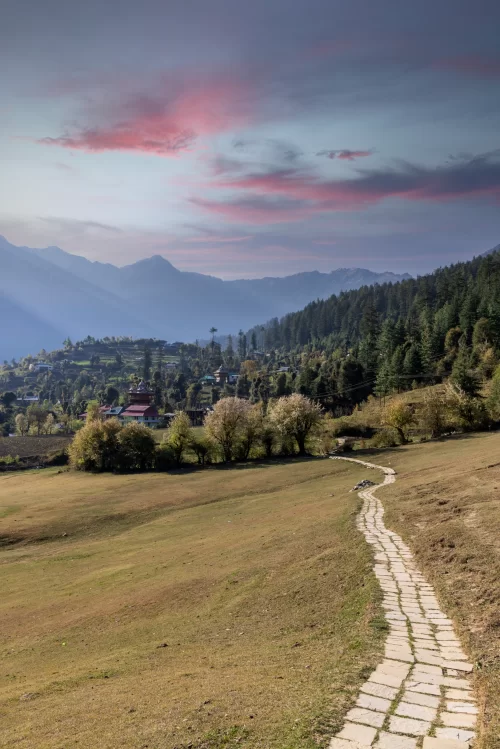 Scenic meadow with a winding stone pathway leading through Shangarh village in Himachal Pradesh, surrounded by pine forests and Himalayan hills at sunset, a serene destination featured in Himachal Pradesh tour packages.