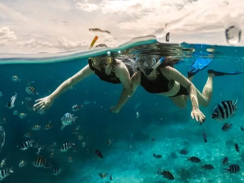 Snorkling experience with two people swimming underwater wearing snorkel masks and fins, exploring clear blue sea filled with tropical fish.