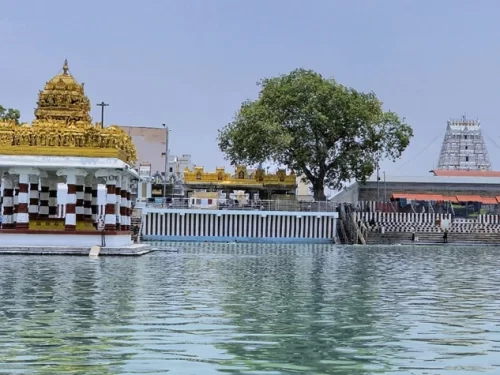 Sri Padmavathi Ammavari Temple, sacred Tiruchanur temple with holy pond in Andhra Pradesh.