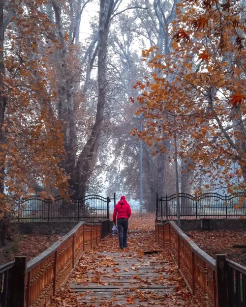 Autumn in Srinagar Kashmir with fallen chinar leaves and misty garden walkway, a seasonal highlight in Kashmir tour packages