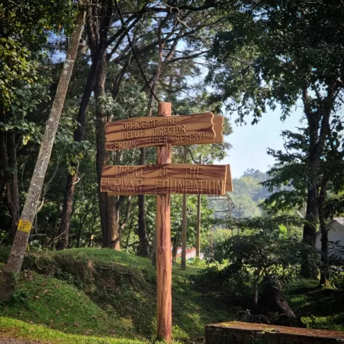 Wooden signboard in Thekkady, Kerala, surrounded by dense greenery, pointing toward the Periyar Tiger Reserve and forest foundation office in a scenic woodland setting.