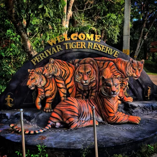 Periyar Tiger Reserve Thekkady Kerala during daytime, featuring tiger sculptures and forest backdrop, perfect wildlife experience Kerala tour package