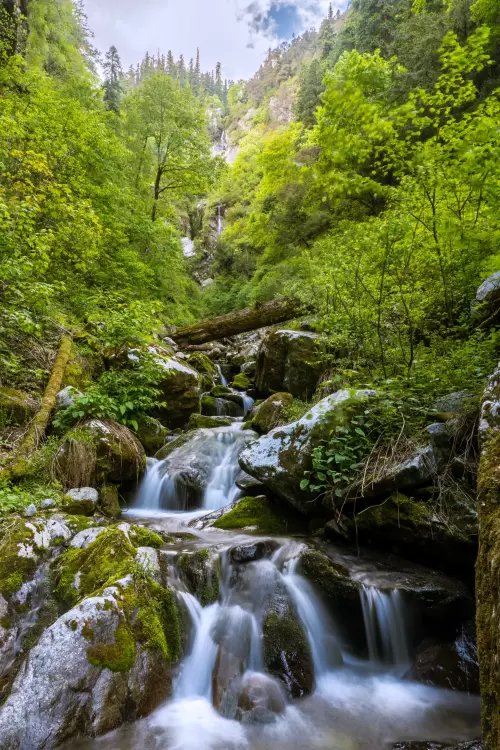 Crystal-clear mountain stream cascading over moss-covered rocks in Tirthan Valley, Himachal Pradesh, surrounded by dense green forest and a serene Himalayan landscape.
