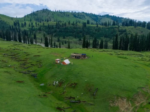 Tosa Maidan Budgam vast alpine meadow with rolling green hills and pine forests in Kashmir Valley
