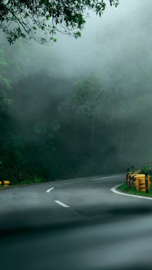Nainital misty hill road with dense forest curves and scenic mountain drive landscape in Uttarakhand tour packages