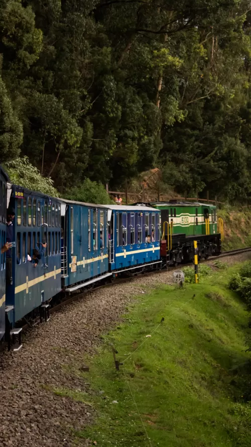 Nilgiri Mountain Railway train passing through lush green forests in Ooty, Tamil Nadu, offering a scenic heritage rail journey featured in Tamil Nadu tour packages.
