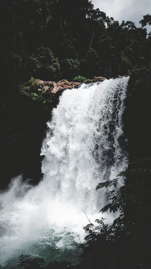 Powerful waterfall cascading through dense forest in Wayanad, Kerala, surrounded by lush greenery, a scenic natural attraction featured in Kerala tour packages.