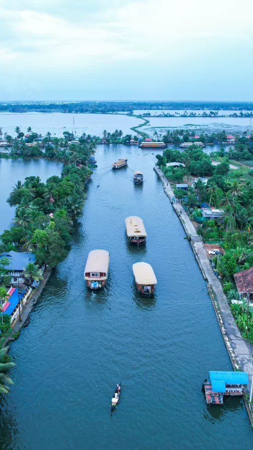 Aerial view of houseboats cruising through the serene backwaters of Alleppey, Kerala, surrounded by lush coconut palms and waterways, a tranquil experience featured in Kerala tour packages.