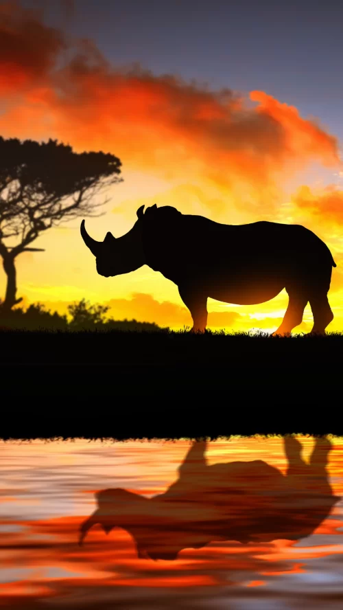 Silhouette of one horned rhinoceros at Kaziranga National Park Assam against vibrant sunset sky reflecting wildlife beauty in Assam tour packages
