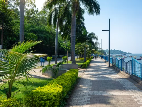 Upper Lake Bhopal promenade during clear daylight, featuring palm trees blue railing boats gardens, perfect scenic Madhya Pradesh tour package.