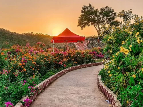 Valley of Flowers Kevadia, vibrant floral garden near Statue of Unity, scenic eco-tourism attraction in Gujarat with colorful blooms and sunset views.