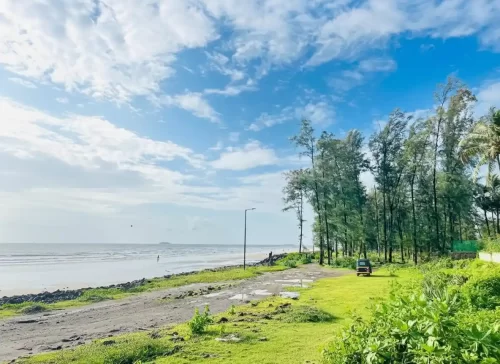 Varsholi Beach peaceful coastal stretch with lush greenery in Alibaug Maharashtra tour packages