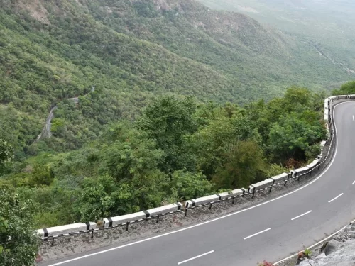 Viewpoints on Tirumala Ghat Roads, scenic mountain curves and lush valley views in Tirupati, Andhra Pradesh. 