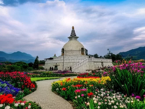 Vishwa Shanti Stupa Rajgir white peace pagoda with colorful gardens Buddhist pilgrimage site Bihar