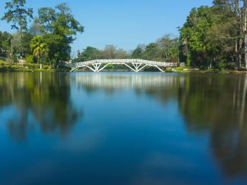 Ward's Lake Shillong Meghalaya iconic white wooden arched bridge palm trees lush green banks perfect mirror reflection calm blue water sunny day, perfect serene Northeast India hill station tour packages.