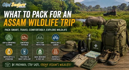 WhattoPackforanAssamWildlifeTrip_17843769150.webp