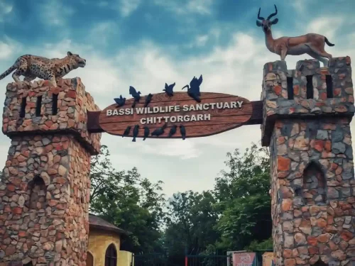 Bassi Wildlife Sanctuary Chittorgarh Lush 150-square-kilometer deciduous forest on the edge of the Vindhyachal Range featuring the Bassi Dam, wild boars, leopards, and four-horned antelopes Rajasthan.